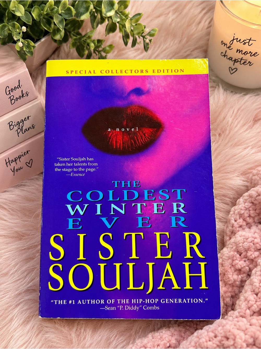 The Coldest Winter Ever by Sister Souljah – Special Collector’s Edition